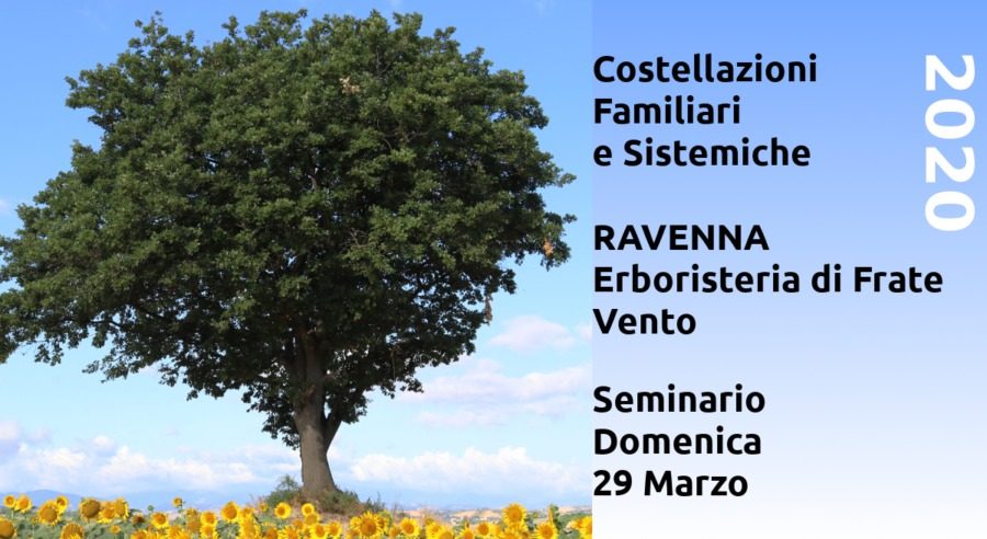 Costellazioni Familiari Sistemiche