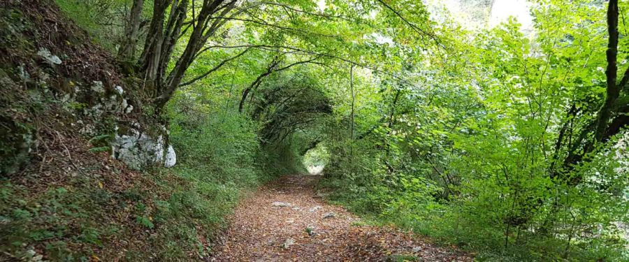 Relax Antistress Meditazione Massaggio