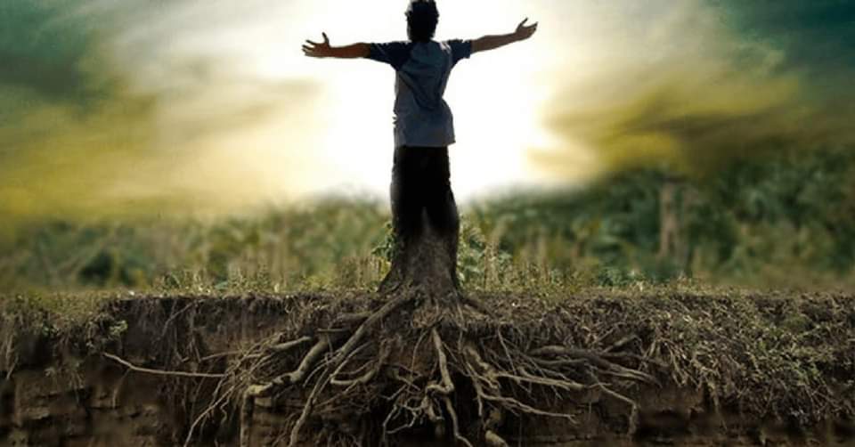 Radicamento, Centratura e Potere