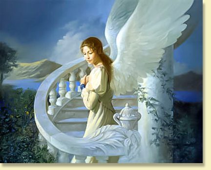 Guida degli Angeli al tuo vero Scopo vita