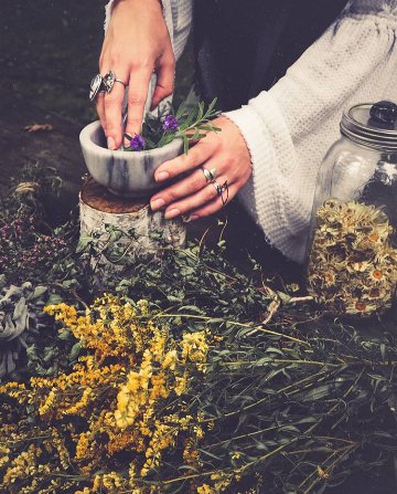 Corso erbe e magia - Online