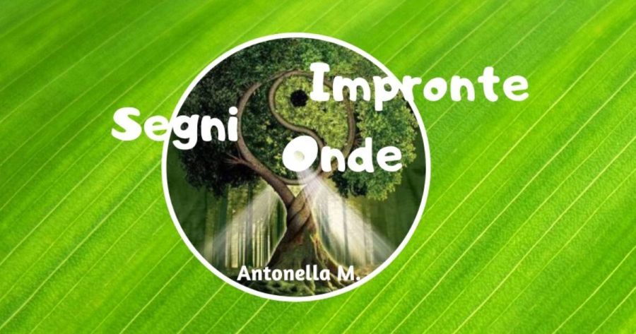 Antonella Mastrostefano - Treviso e provincia