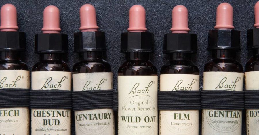 Fiori di Bach: cosa sono e le loro proprietà
