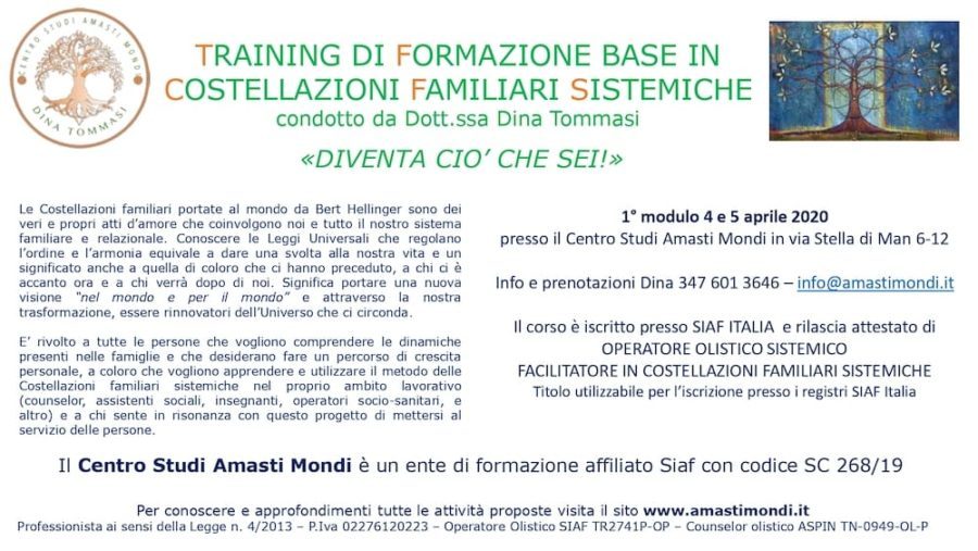 Formazione in costellazioni familiari