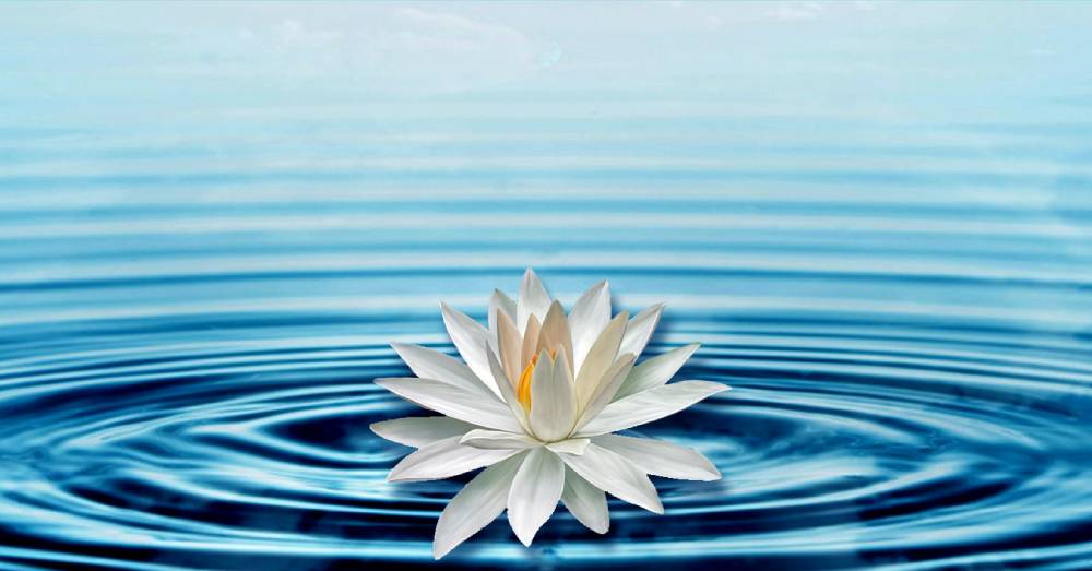 I sette toni di equilibrio