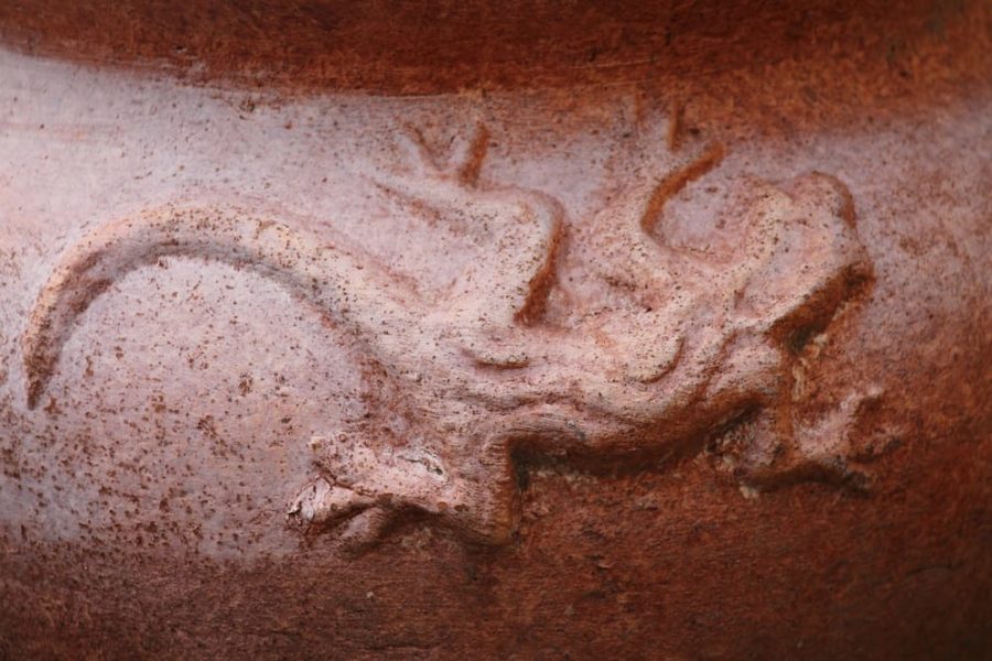 Cos'è la "visione"?