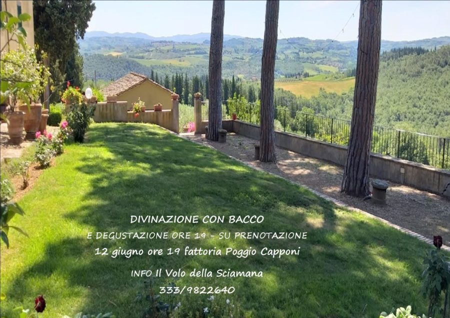 Divinazione con Bacco - Incontro olistico