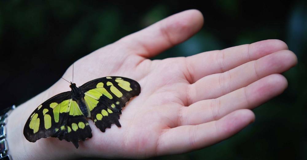 Cinque regole post quarantena