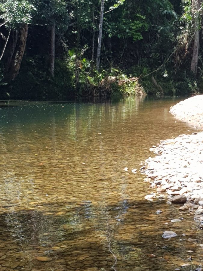 Incontro con gli Spiriti della Natura