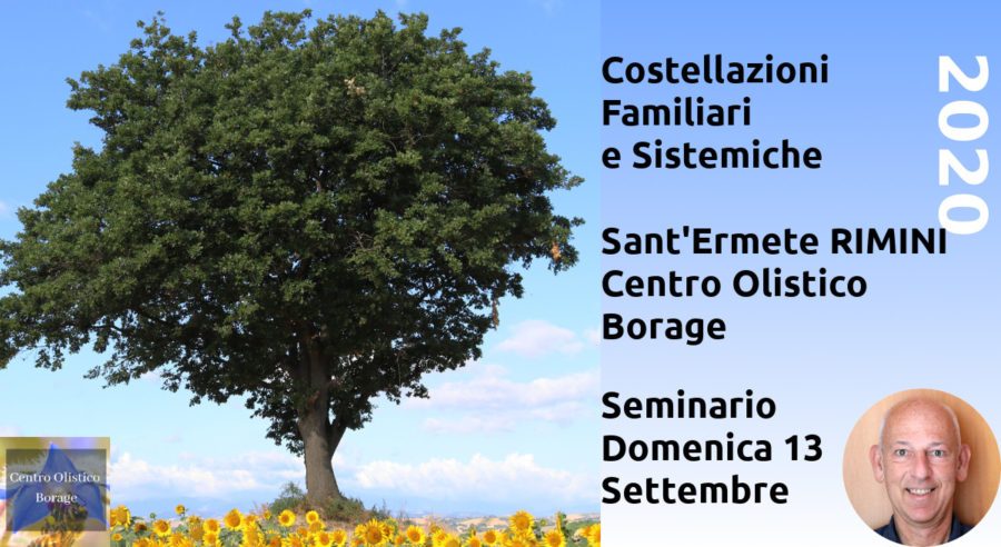 Costellazioni Familiari e Sistemiche