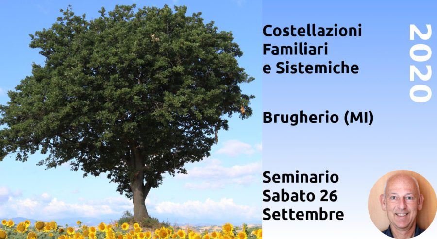 Costellazioni Familiari e Sistemiche