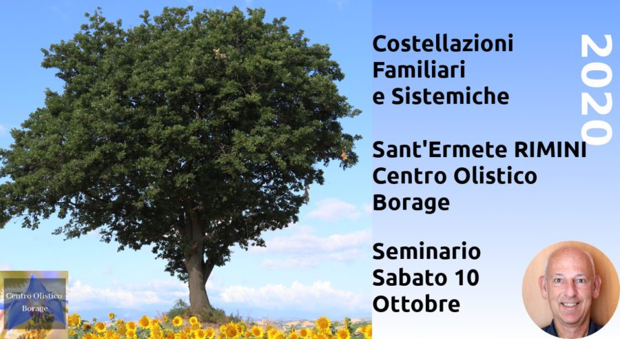 Costellazioni Familiari e Sistemiche