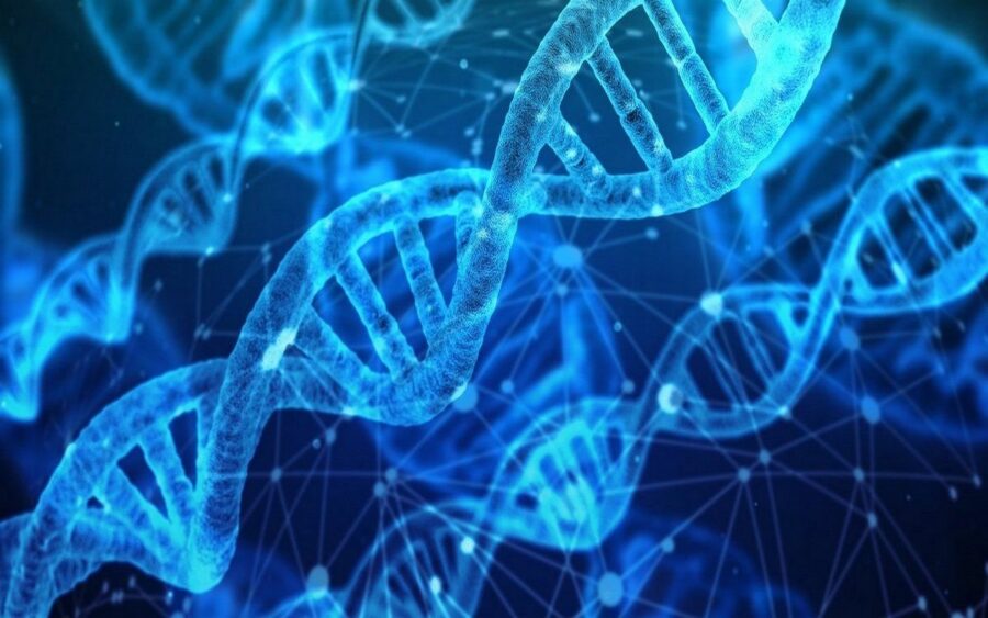 Workshop: i 12 strati del DNA