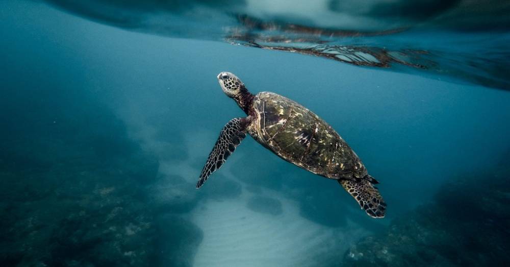 Il problema con la plastica è il cambiamento