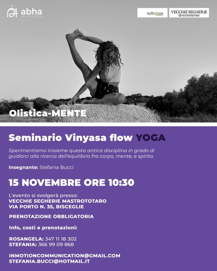 Seminario Vinyasa flow Yoga