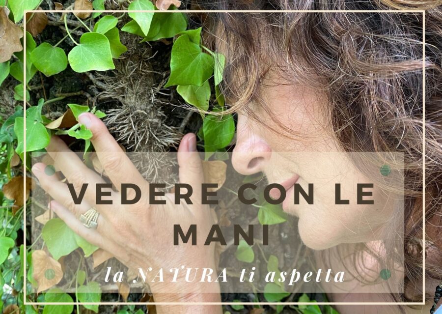 Rigenerarsi nel bosco attivando il tatto