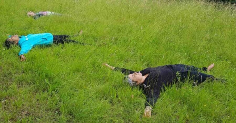 Percorso Shinrin-Yoku: Il Bagno di Foresta