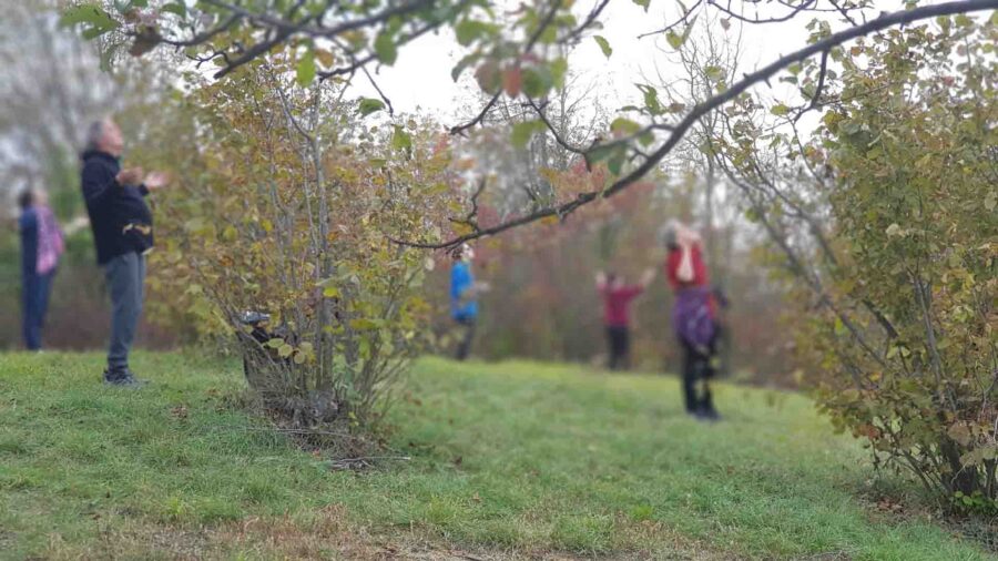 Ritiro di Meditazione Depurativa