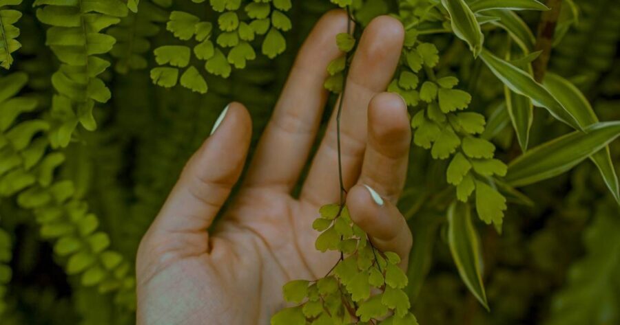 Reiki - Cura, accoglienza e ascolto