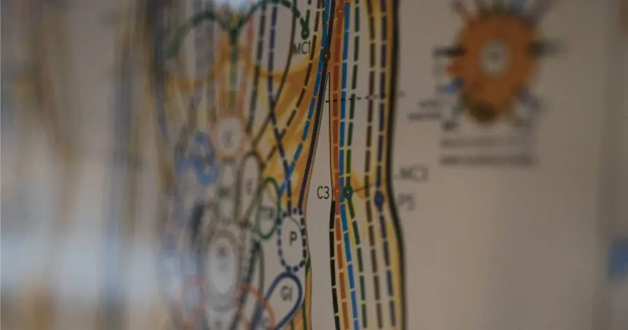 Mappa riflessologia