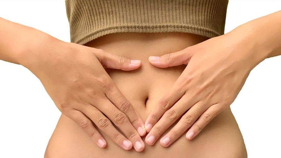 Intestino secondo cervello