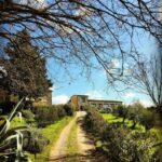 Agriturismo Perucci di Sopra