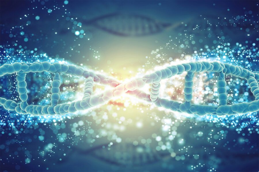 Conferenza: "I 12 strati del DNA"