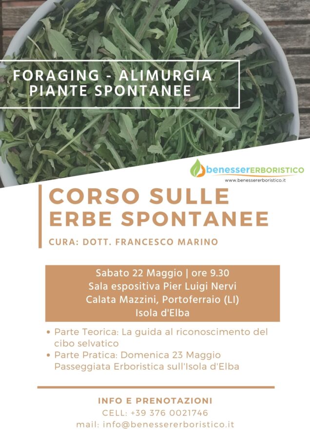 Ritiro benessere Isola d'Elba