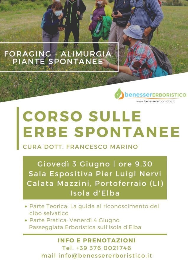 Corso sulle erbe spontanee