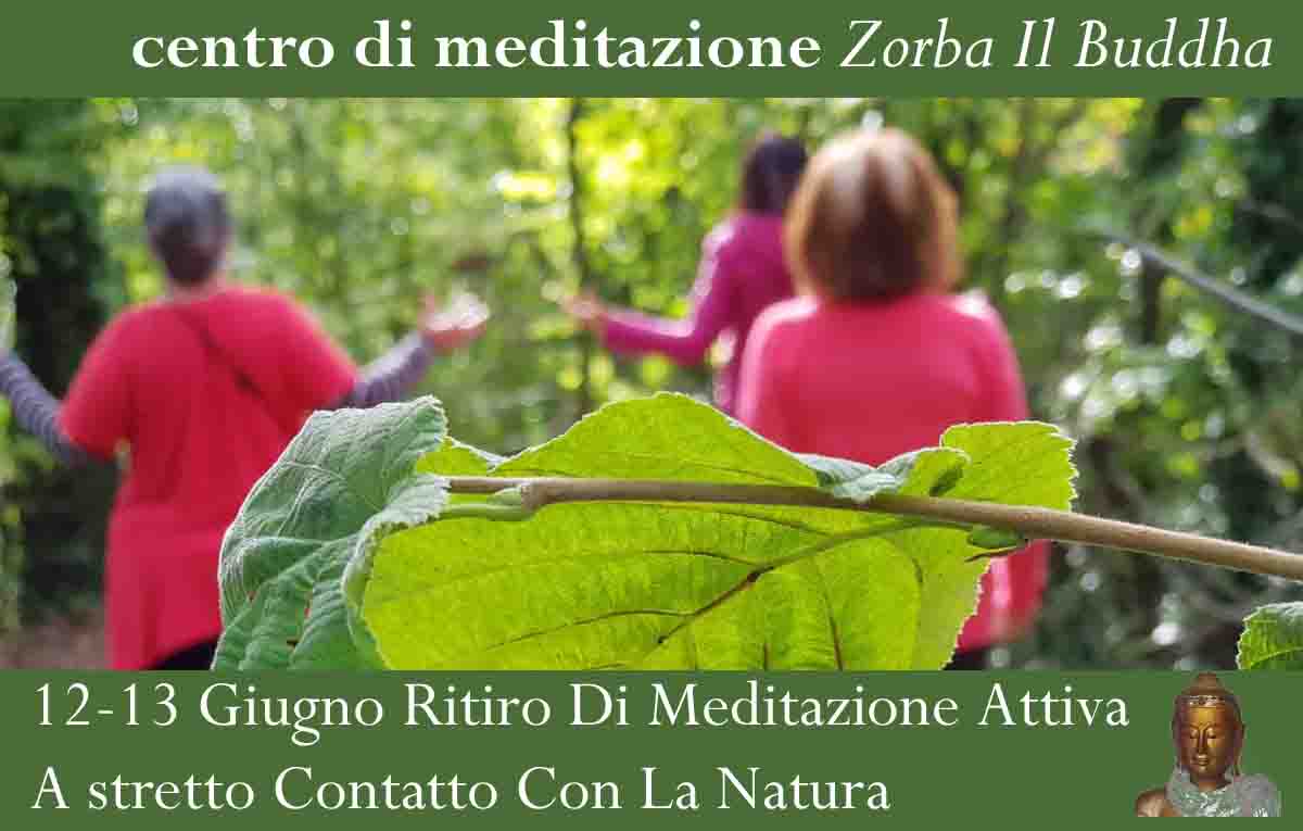 Ritiro di Meditazione Attiva nella natura