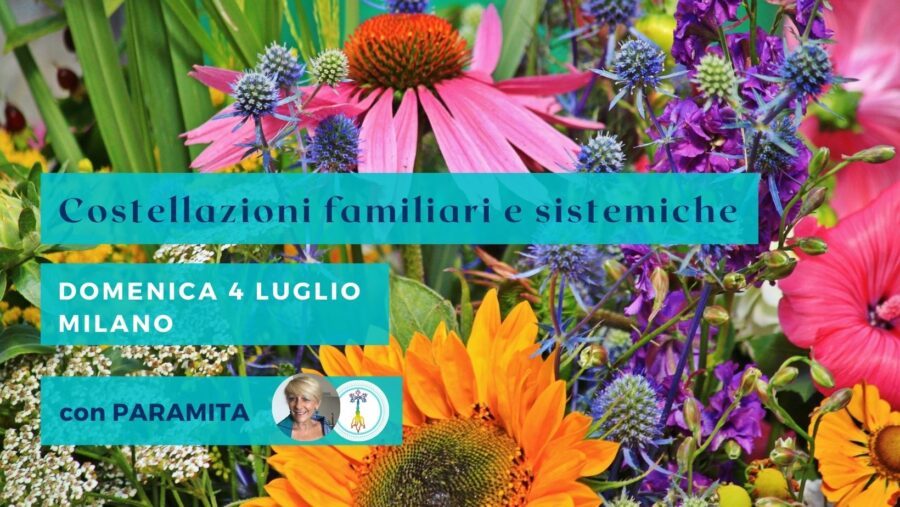 Costellazioni familiari e sistemiche