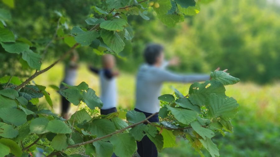 Ritiro di Meditazione Attiva: il risveglio