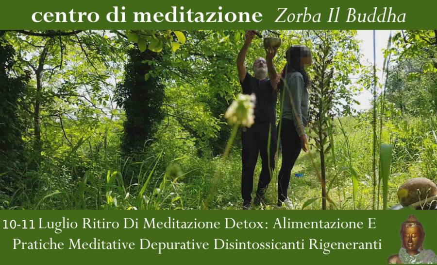 Luglio ritiro di meditazione detox