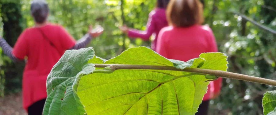 Ritiro di meditazione attiva
