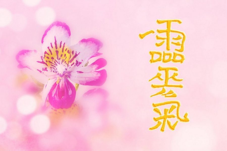 Conferenza: Il REIKI - Vibrazione cosmica