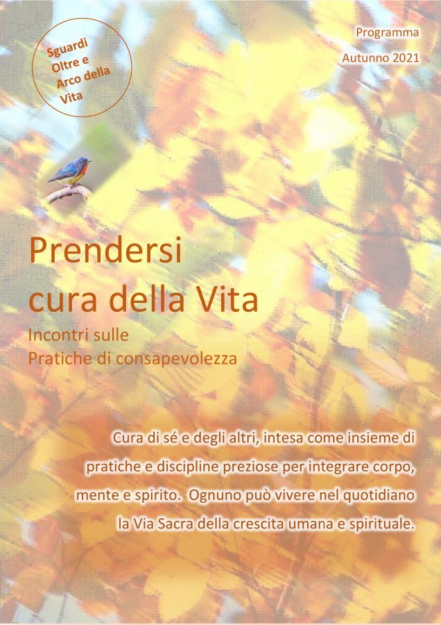 Meditazione on line - Verso il centro