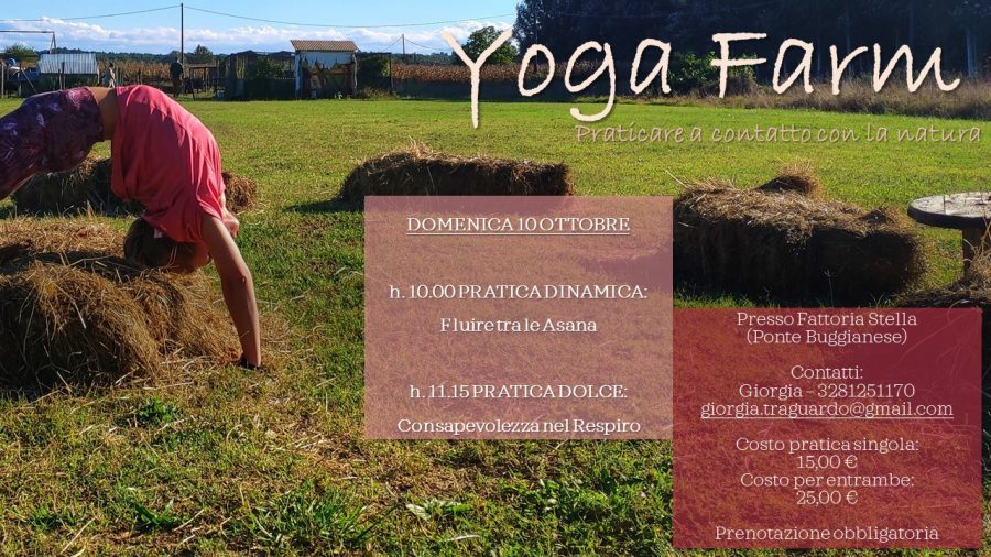 Yoga Farm
