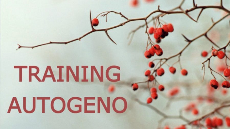 Training Autogeno