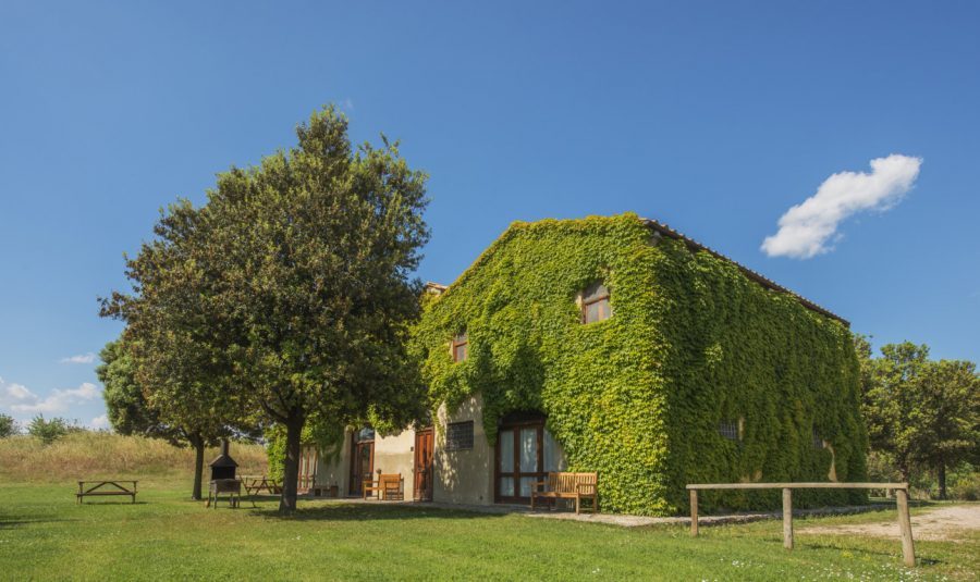 Agriturismo LaSelva - Orbetello (GR)