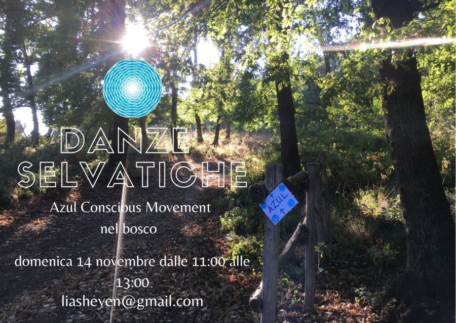 Danze Selvatiche - Azul Conscious Movement