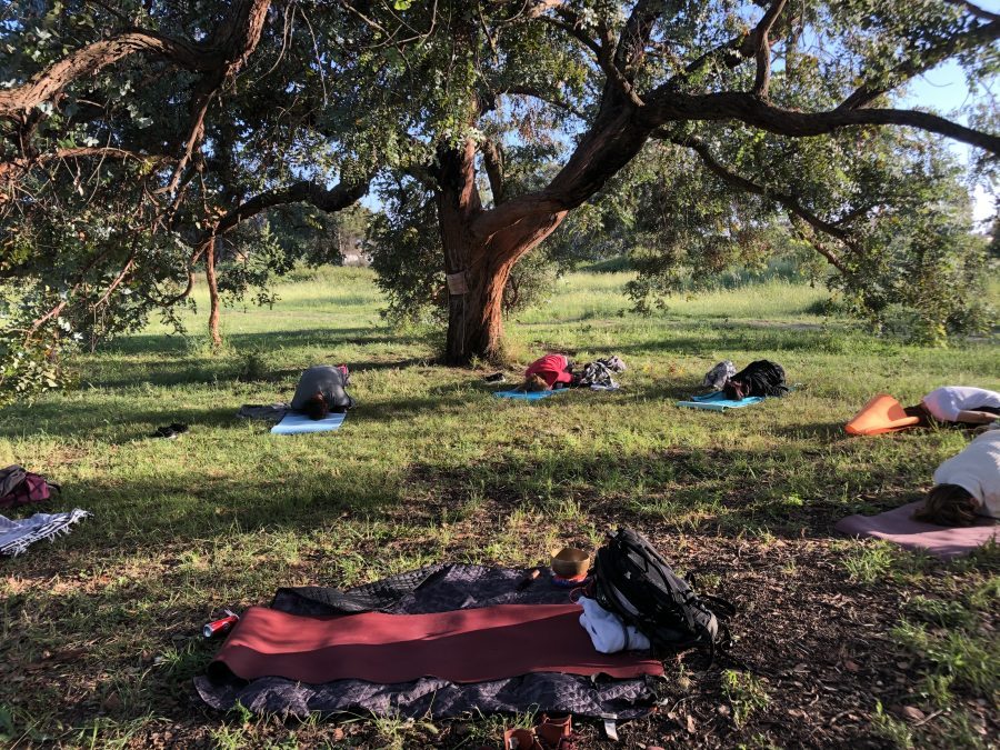 Yoga al parco per la Festa dell’Albero
