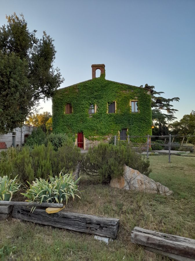 Fattoria di Pietra - Gavorrano (GR)