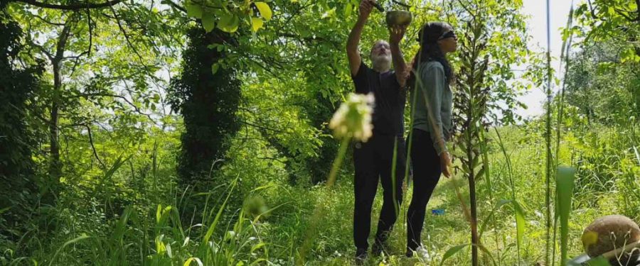 Ritiro di meditazione depurativa