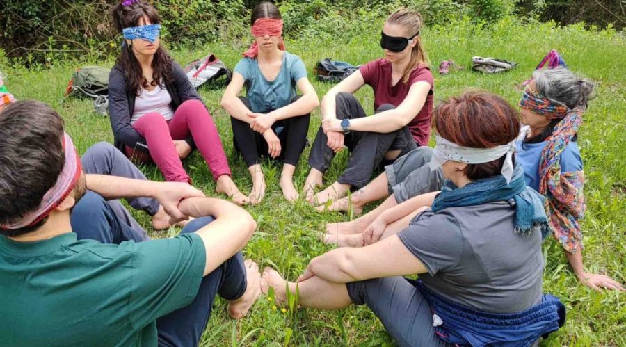 Forest Bathing: ritiro di meditazione