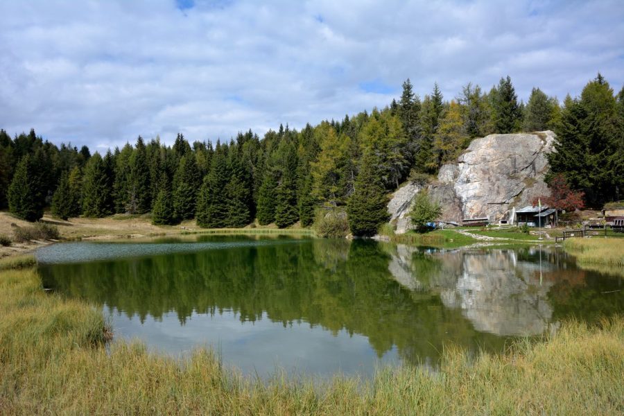 Ritiro mindfulness quantistica nel bosco
