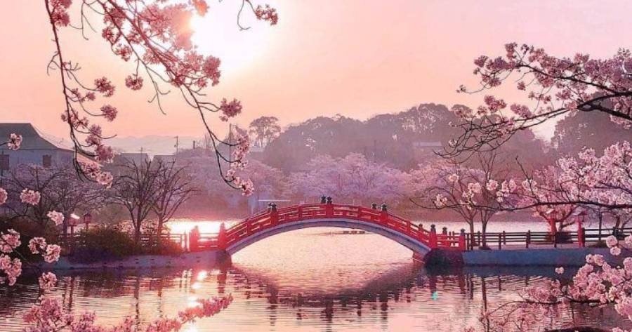 La vera storia del maestro del Reiki Usui