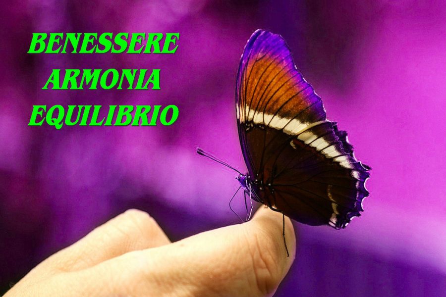 Conferenza: i trattamenti di riequilibrio