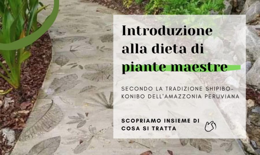 Introduzione alla dieta di piante maestre