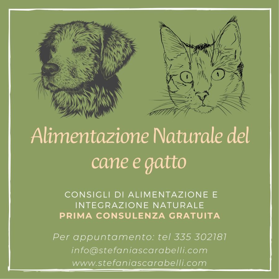 Consulenza di alimentazione naturale