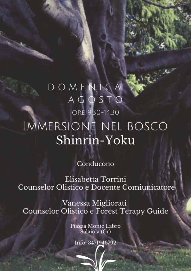Immersione nel bosco - Shinrin-Yoku